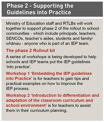 Phase 2 offers support for teams to embed the IEP guidelines into practice